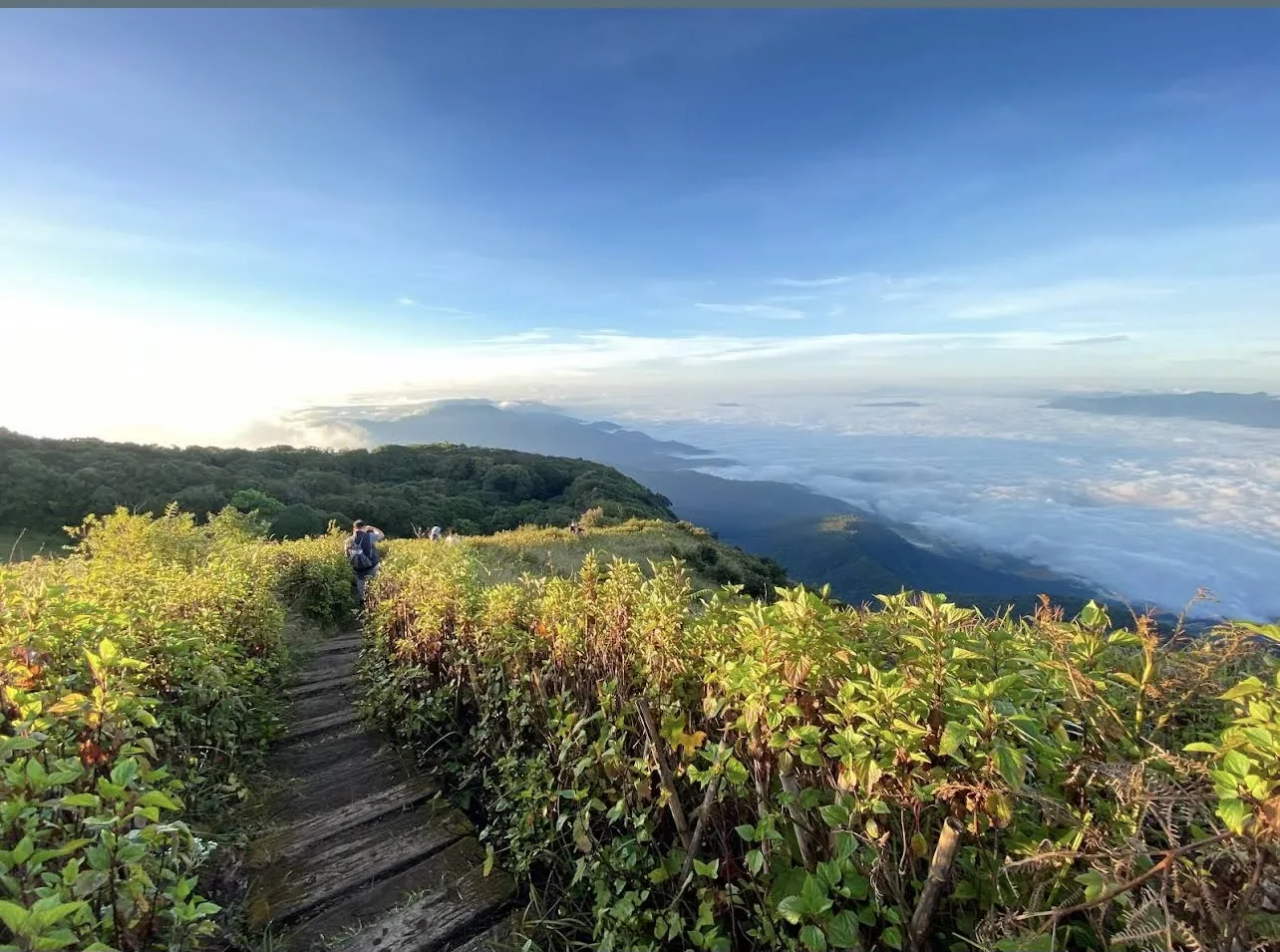 Excursion optionnelle : parc national de Doi Inthanon